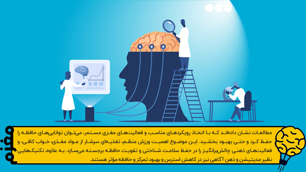 تحقیقات در مورد مغز