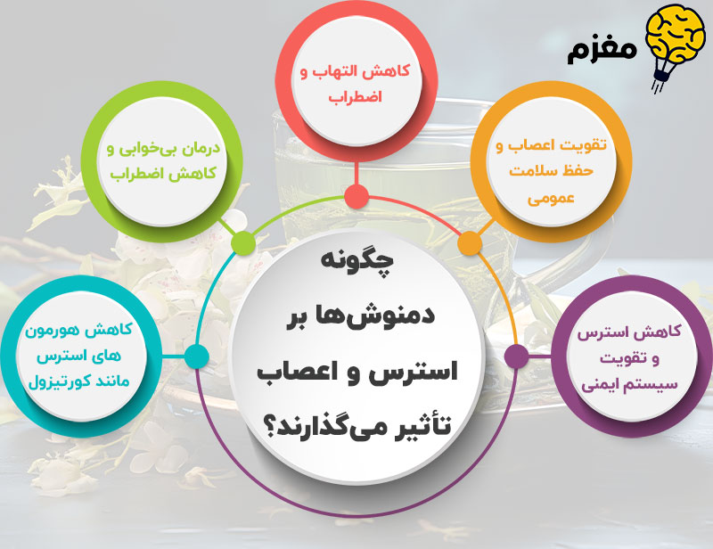 چگونه دمنوش‌ها بر استرس و اعصاب تأثیر می‌گذارند؟	