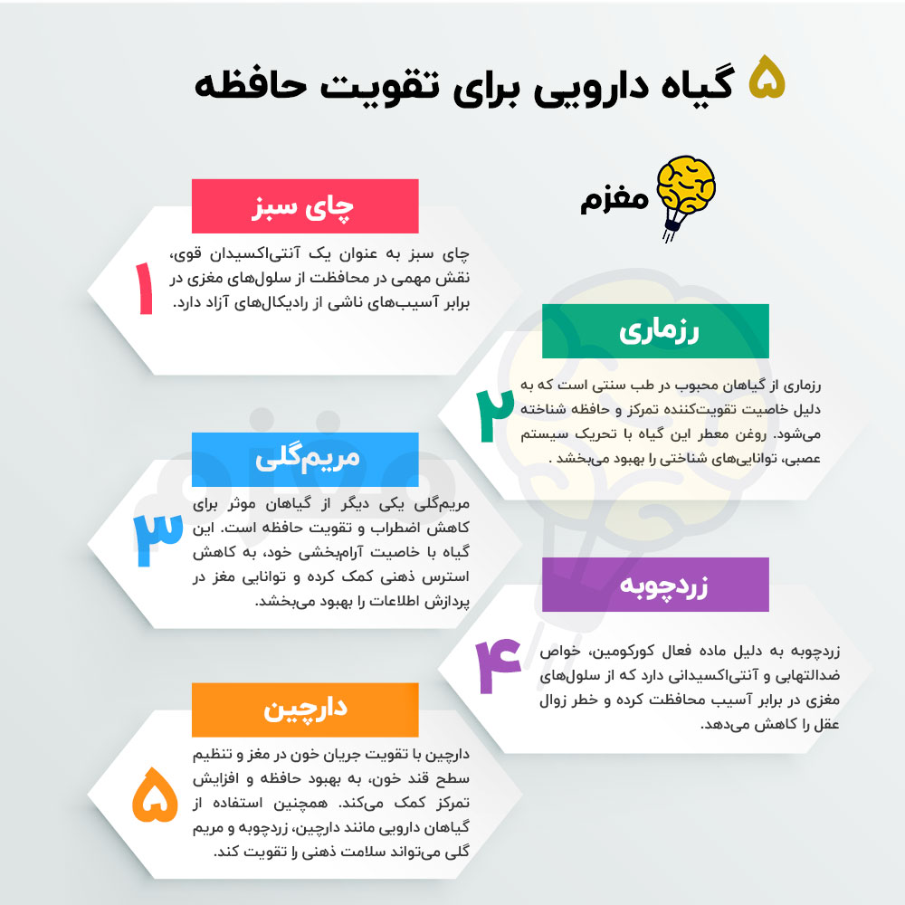 5 گیاه دارویی برای تقویت حافظه